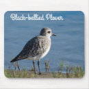 Search for bellies mouse mats Wildlife