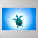 Search for reptile posters Animals