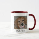 Search for cute and funny animal pictures mugs Humour