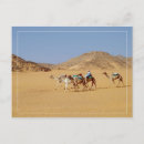 Search for wadi postcards Landscape