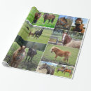 Search for equestrian wrapping paper Nature