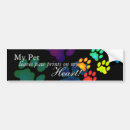 Search for pawprint bumper stickers Rainbow