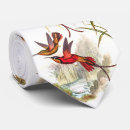 Search for hummingbird ties Nature