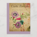 Search for glories vertical postcards Vintage