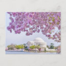 Search for remembrance day postcards Flower