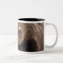 Search for ursus mugs Steve kazlowski