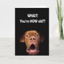 Search for silly faces cards Dog