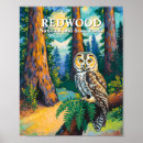 Search for national forest posters Us national parks