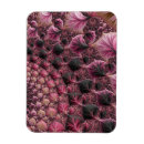 Search for abstract fractal magnets Psychedelic