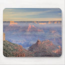 Search for arid mouse mats Rocky