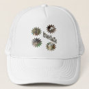 Search for shaped hats Stars