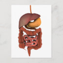 Search for digestion postcards Colour image