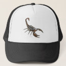 Search for scorpion hats Animals