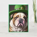 Search for pedigree cards Breed