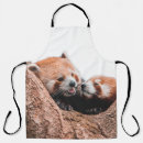 Search for koala bear aprons Nature
