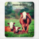 Search for funny cow mouse mats Cute