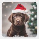 Search for chocolate labrador stickers Puppy