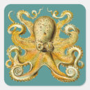 Search for octopus stickers Monster