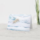 Search for polar bear cub cards Arctic