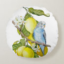 Search for budgie cushions Parakeet