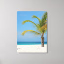 Search for aruba canvas prints Sand