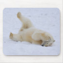 Search for refuge mouse mats National wildlife refuge