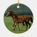 Search for thoroughbred horse christmas tree decorations Moving