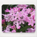 Search for rhododendron mouse mats Photography