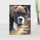 Search for boxer stamp cards Canine