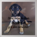 Search for er posters Animals