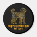 Search for labradoodles magnets Puppy