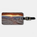 Search for desert scene Usa