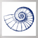 Search for nautilus shells posters Beach