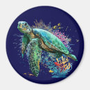 Search for sea turtle magnets Ocean