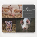 Search for pig mouse mats Collage