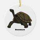 Search for ecuador christmas tree decorations Reptile