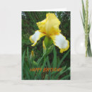 Search for iris birthday cards Yellow