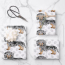 Search for black hair wrapping paper Doxie