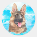 Search for gsd stickers Pet