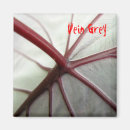 Search for vein magnets Red