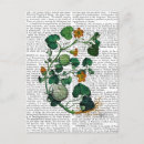 Search for squash postcards Vine