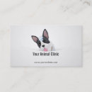 Search for french bulldog business cards Veterinarian