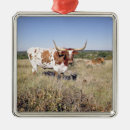 Search for texas longhorn christmas tree decorations Canada