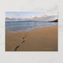 Search for footprints postcards Vacations