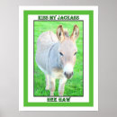 Search for jackass Funny
