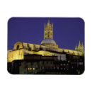 Search for dome magnets Walter bibikow