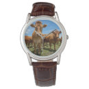 Search for cattle farming watches Beef