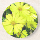 Search for african daisy barware Floral