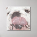 Search for part 1 canvas prints Square