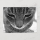 Search for without you postcards Photography